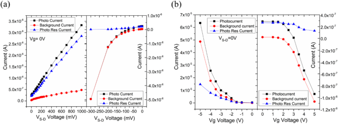 Dynamic Control of Photodetector Responsivity in Graphene Nanoribbon Devices
