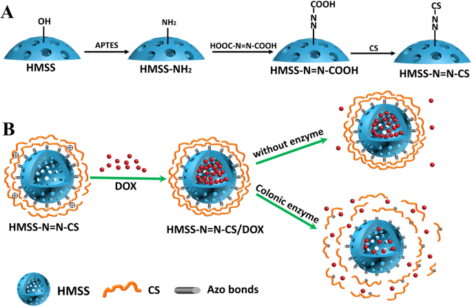 Chitosan‑Capped, Enzyme‑Responsive Hollow Mesoporous Silica Nanoplatforms for Targeted Colon Drug Delivery
