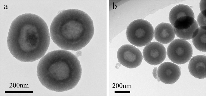 Chitosan‑Capped, Enzyme‑Responsive Hollow Mesoporous Silica Nanoplatforms for Targeted Colon Drug Delivery