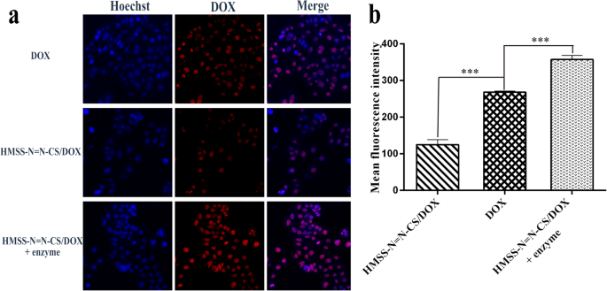 Chitosan‑Capped, Enzyme‑Responsive Hollow Mesoporous Silica Nanoplatforms for Targeted Colon Drug Delivery
