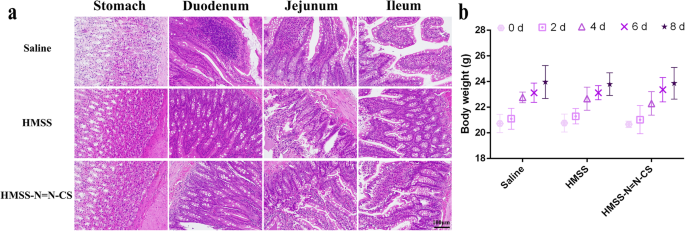 Chitosan‑Capped, Enzyme‑Responsive Hollow Mesoporous Silica Nanoplatforms for Targeted Colon Drug Delivery