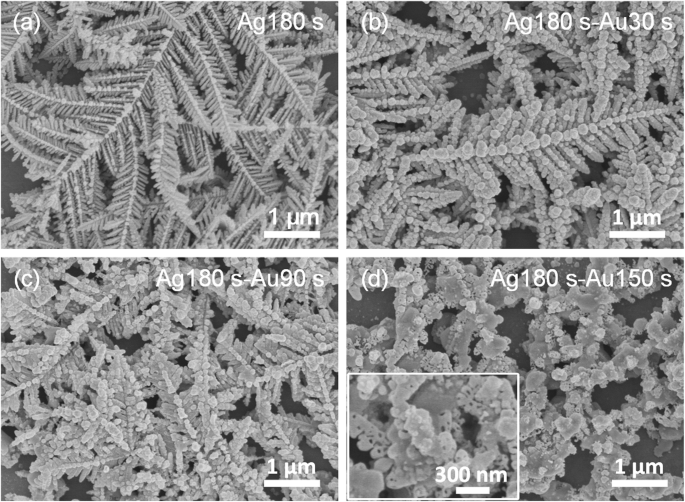 Dendritic Au/Ag Bimetallic Nanostructures: Superior SERS and Catalytic Activity from Ag Dendrite Templates