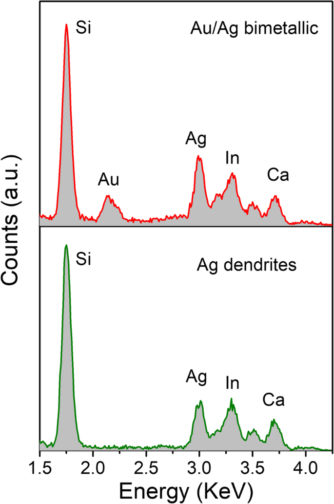 Dendritic Au/Ag Bimetallic Nanostructures: Superior SERS and Catalytic Activity from Ag Dendrite Templates