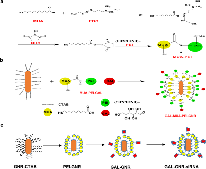 GAL-GNR-siBRAF Nanosystem: Targeted BRAF Gene Silencing + Photothermal Therapy to Halt Hepatoma Growth