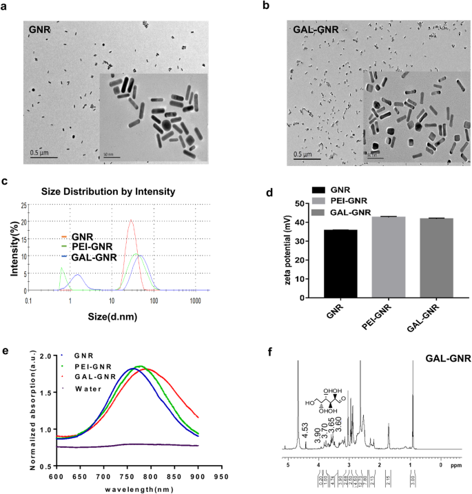 GAL-GNR-siBRAF Nanosystem: Targeted BRAF Gene Silencing + Photothermal Therapy to Halt Hepatoma Growth