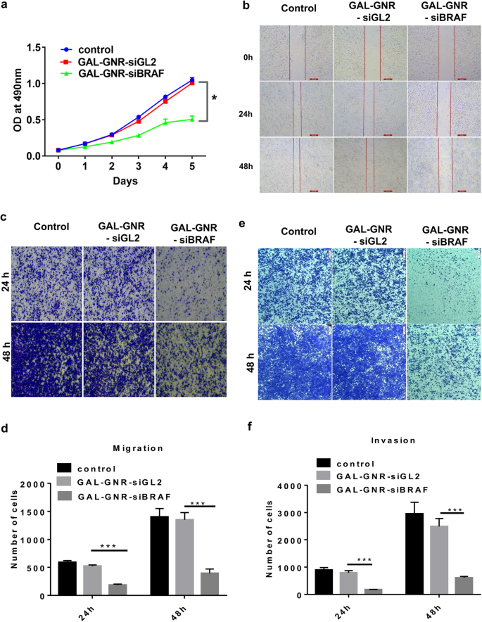 GAL-GNR-siBRAF Nanosystem: Targeted BRAF Gene Silencing + Photothermal Therapy to Halt Hepatoma Growth