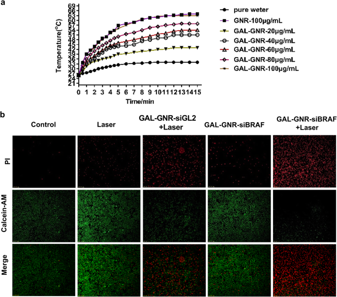 GAL-GNR-siBRAF Nanosystem: Targeted BRAF Gene Silencing + Photothermal Therapy to Halt Hepatoma Growth