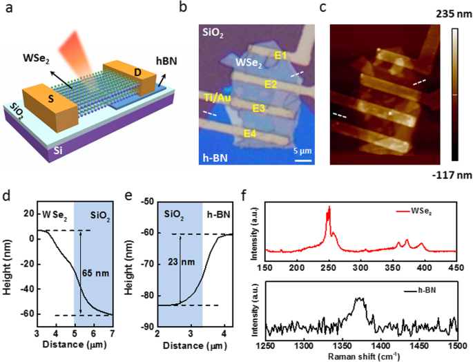 In-Plane WSe2 Homojunction via Interface Gating: A High-Performance Photodetector