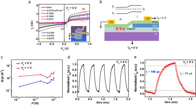 In-Plane WSe2 Homojunction via Interface Gating: A High-Performance Photodetector