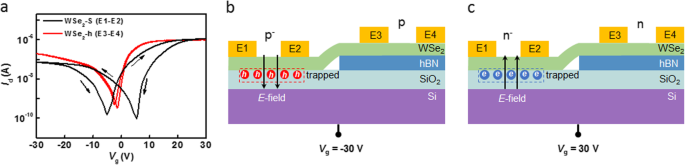In-Plane WSe2 Homojunction via Interface Gating: A High-Performance Photodetector