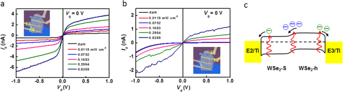 In-Plane WSe2 Homojunction via Interface Gating: A High-Performance Photodetector