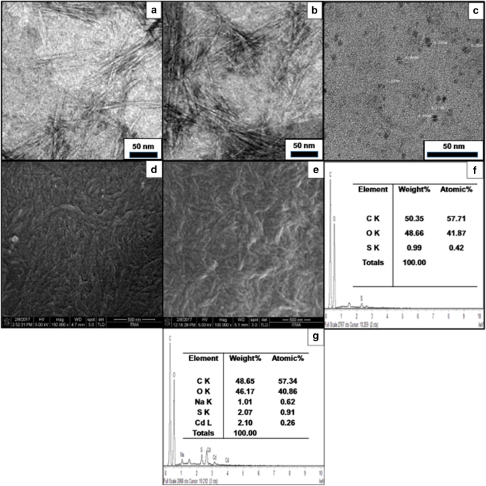 Nanotechnology Applications in the Wood‑Based Products Industry: Comprehensive Review