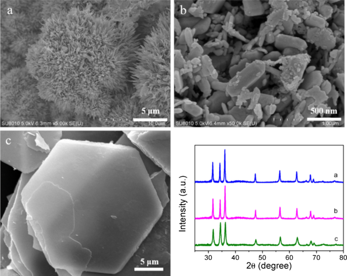Anion‑Controlled Fabrication of ZnO 1D Necklace‑Like Nanostructures for Superior Photocatalytic Performance