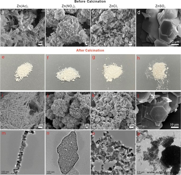 Anion‑Controlled Fabrication of ZnO 1D Necklace‑Like Nanostructures for Superior Photocatalytic Performance