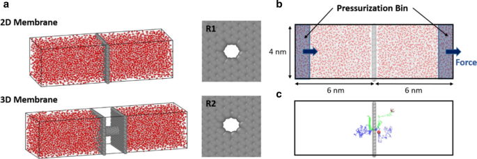 Influence of Hydrophilicity on Single-File Water Flux Through Sub‑Nanometer Pores in 2D Nanoporous Membranes