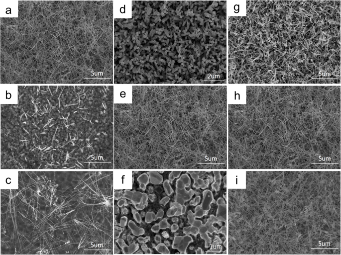High‑Temperature CVD Synthesis of Single‑Crystalline β‑FeSi₂ Nanowires and Their Physical Properties