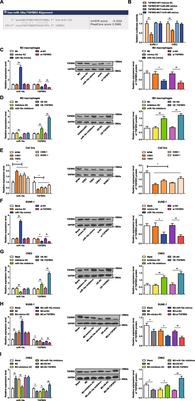 MicroRNA‑18a from M2 Macrophages Drives Nasopharyngeal Carcinoma Progression by Targeting TGFBR3 in the TGF‑β Pathway