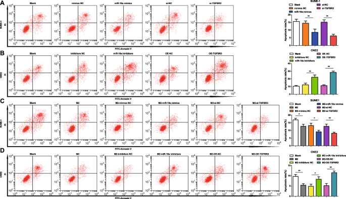 MicroRNA‑18a from M2 Macrophages Drives Nasopharyngeal Carcinoma Progression by Targeting TGFBR3 in the TGF‑β Pathway