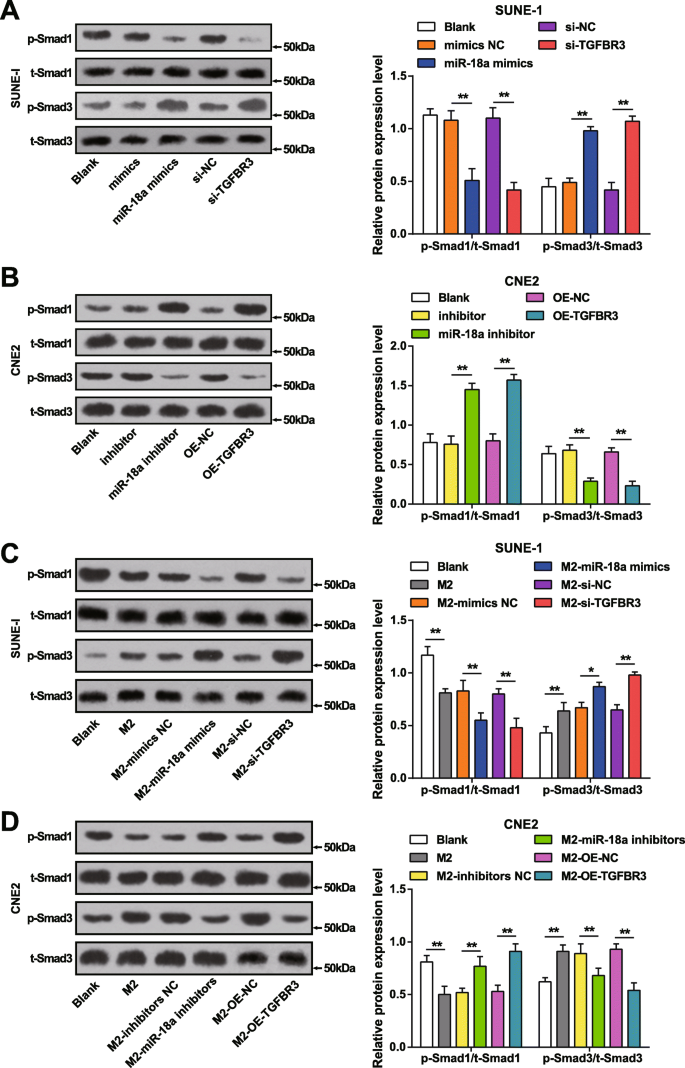 MicroRNA‑18a from M2 Macrophages Drives Nasopharyngeal Carcinoma Progression by Targeting TGFBR3 in the TGF‑β Pathway