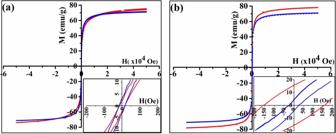 Enhancing Magnetite Nanoparticles: Sn²⁺ Doping Tailors Magnetization Dynamics, Irreversibility, and Curie Temperature