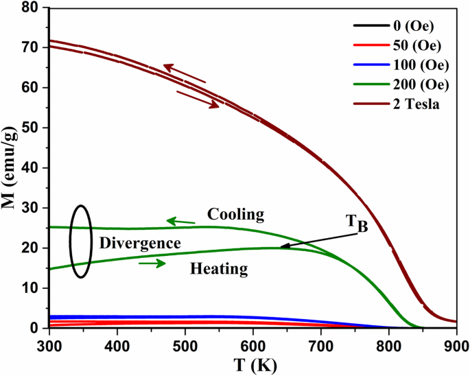 Enhancing Magnetite Nanoparticles: Sn²⁺ Doping Tailors Magnetization Dynamics, Irreversibility, and Curie Temperature