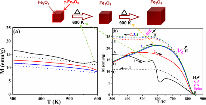 Enhancing Magnetite Nanoparticles: Sn²⁺ Doping Tailors Magnetization Dynamics, Irreversibility, and Curie Temperature
