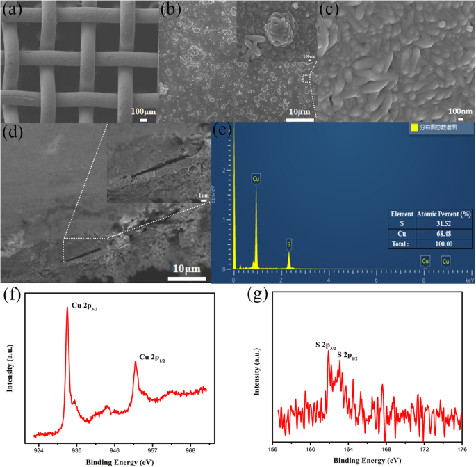 Enhancing Quantum Dot Solar Cell Efficiency with Concentrating Photovoltaics and Dual Photoanodes