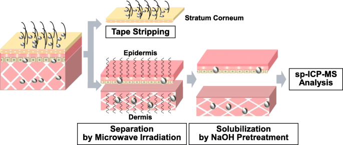 A Novel Analytical System for Assessing Silver Nanoparticle Physicochemical Properties in Human Skin