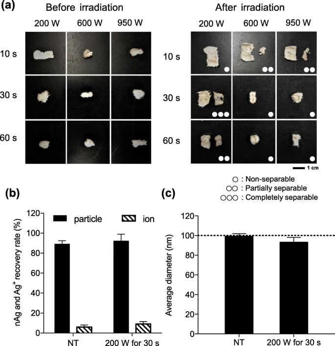 A Novel Analytical System for Assessing Silver Nanoparticle Physicochemical Properties in Human Skin