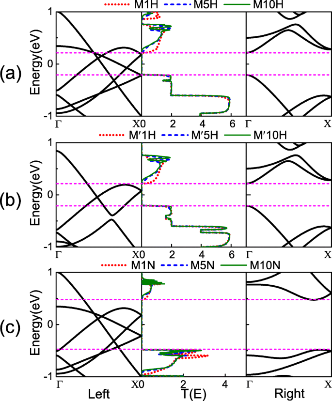 Enhanced Rectification of α‑Borophene Nanoribbon Heterojunctions via Edge Passivation