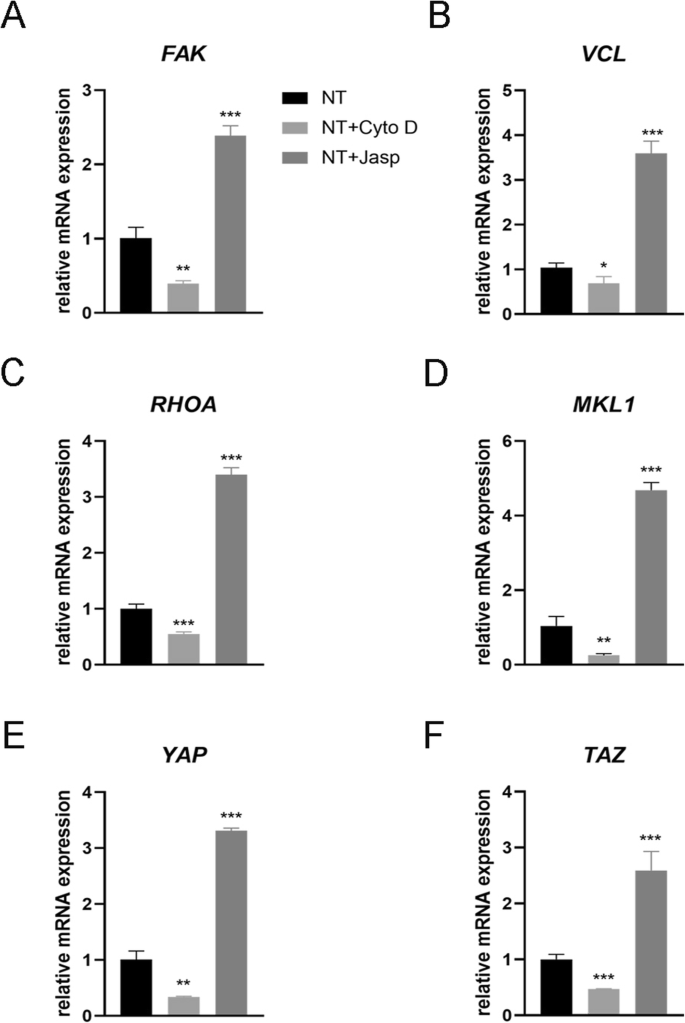 F‑Actin Mediates Osteogenic Differentiation of Mesenchymal Stem Cells on TiO2 Nanotubes via MKL1 and YAP/TAZ