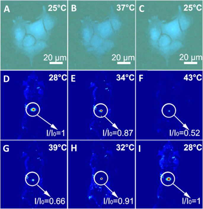 Carbon Dots: Pioneering Next-Generation Nanothermometers – A Comprehensive Review