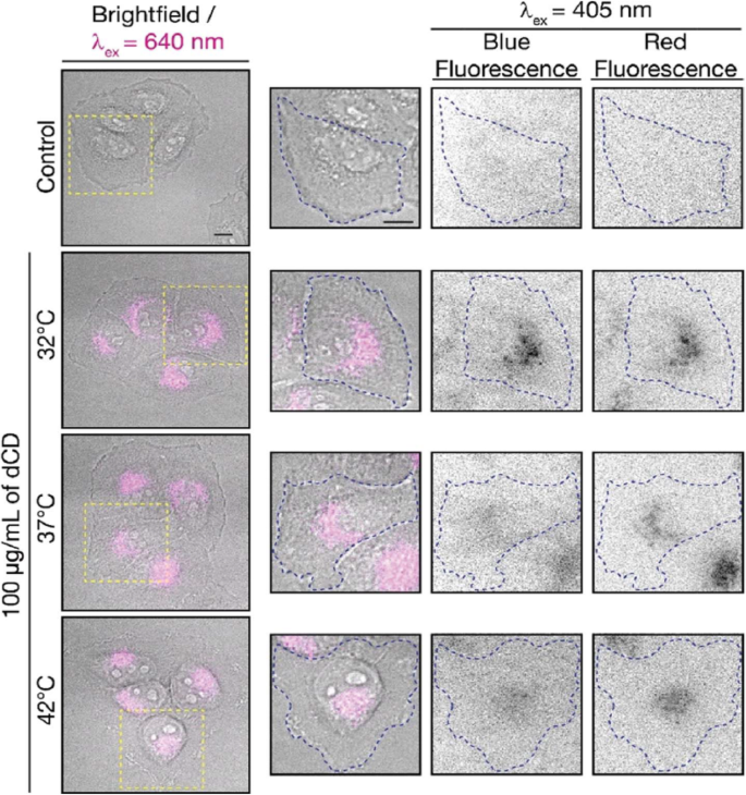 Carbon Dots: Pioneering Next-Generation Nanothermometers – A Comprehensive Review