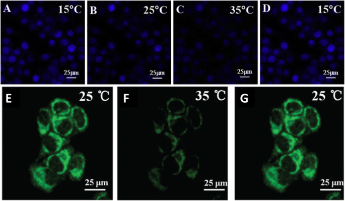 Carbon Dots: Pioneering Next-Generation Nanothermometers – A Comprehensive Review