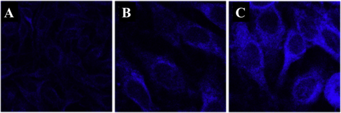 Carbon Dots: Pioneering Next-Generation Nanothermometers – A Comprehensive Review