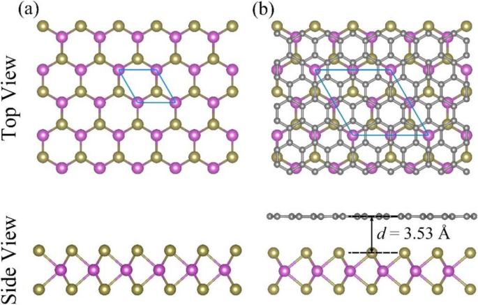 Tuning Schottky Barriers and Contact Types in Graphene–MoTe₂ van der Waals Heterostructures via Strain and Electric Fields