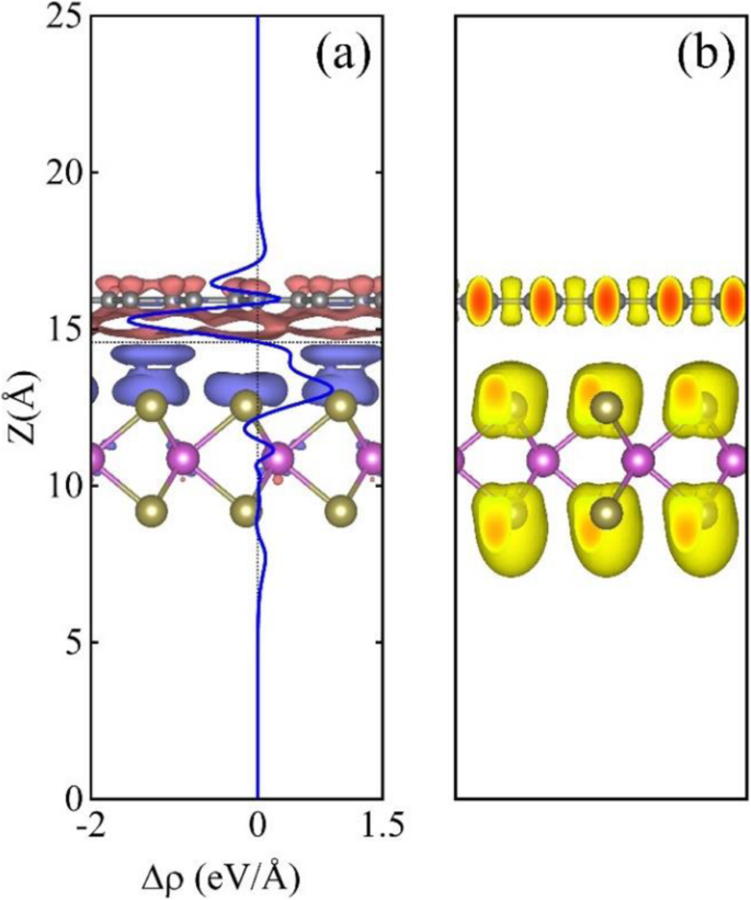 Tuning Schottky Barriers and Contact Types in Graphene–MoTe₂ van der Waals Heterostructures via Strain and Electric Fields