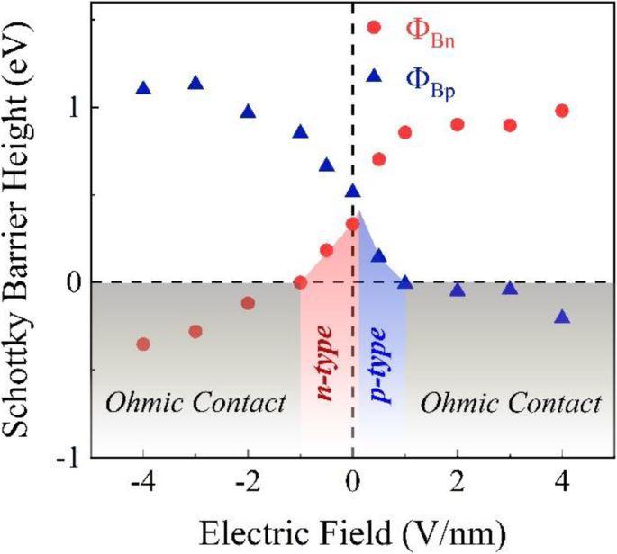 Tuning Schottky Barriers and Contact Types in Graphene–MoTe₂ van der Waals Heterostructures via Strain and Electric Fields
