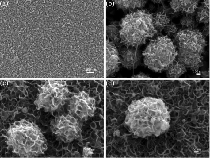 High-Performance MoIn₂S₄@CNT Counter Electrodes for Dye‑Sensitized Solar Cells