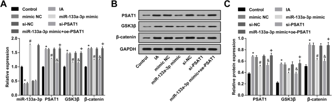 Restoring miR‑133a‑3p or Reducing PSAT1 Limits Endothelial Damage‑Driven Intracranial Aneurysm by Inhibiting the GSK3β/β‑Catenin Pathway