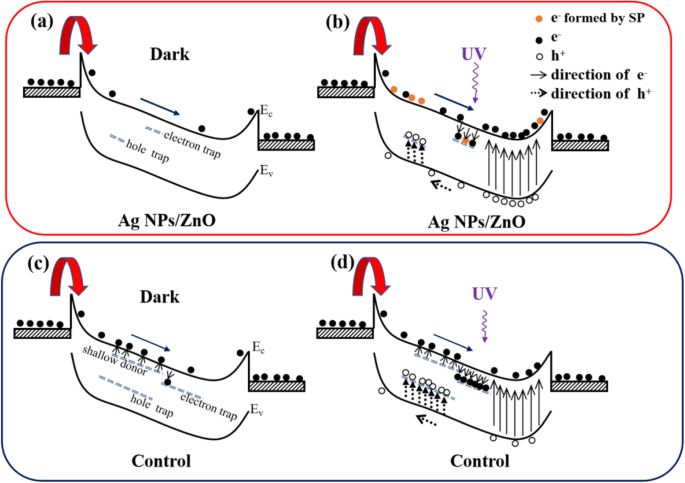 Boosting Performance of All‑Inkjet‑Printed ZnO UV Photodetectors via Ag Nanoparticle Modification