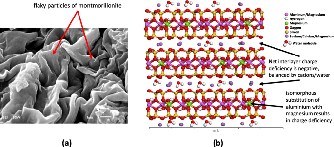 Nano-Clays: A Promising Nano-Immune Defense Against COVID-19