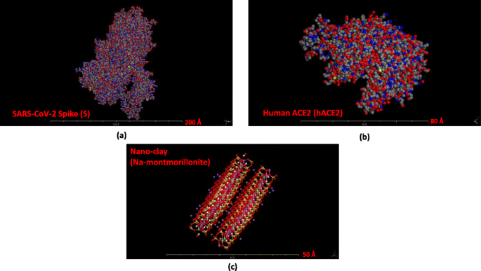 Nano-Clays: A Promising Nano-Immune Defense Against COVID-19