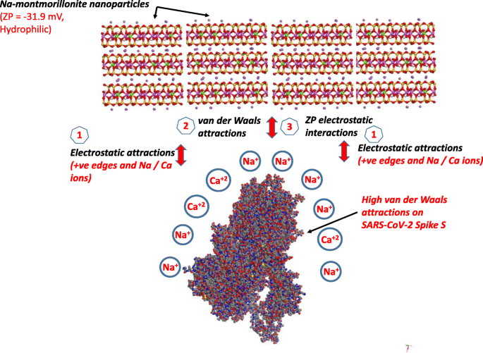 Nano-Clays: A Promising Nano-Immune Defense Against COVID-19