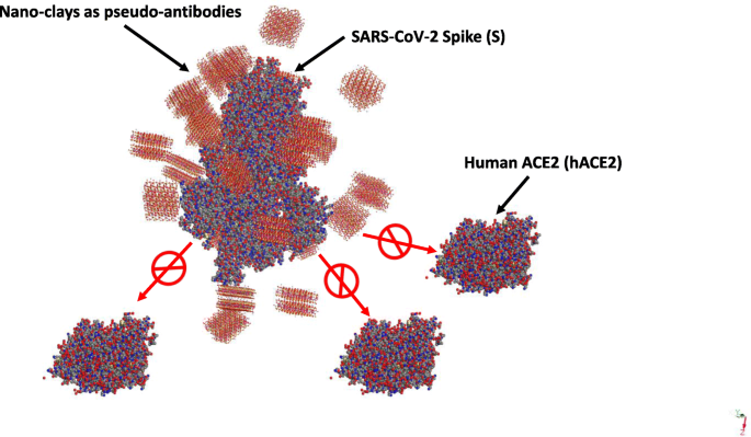 Nano-Clays: A Promising Nano-Immune Defense Against COVID-19