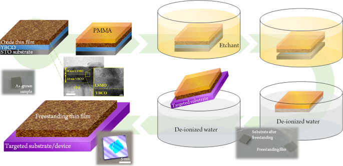 Rapid Fabrication of Freestanding Single-Crystal Oxide Thin Films Using YBa2Cu3O7‑x as a Sacrificial Layer