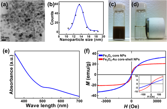 Optimizing Fe3O4‑Au Core‑Shell Nanoparticle Uptake for Targeted Endocytosis in Colorectal Cancer Cells