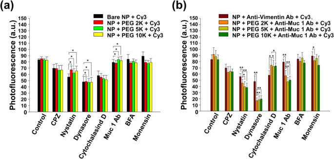 Optimizing Fe3O4‑Au Core‑Shell Nanoparticle Uptake for Targeted Endocytosis in Colorectal Cancer Cells