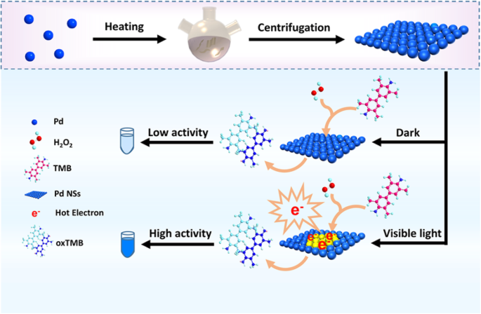 Ultrathin Palladium Nanozymes: Light-Activated Peroxidase Mimicry for Precision Catalysis