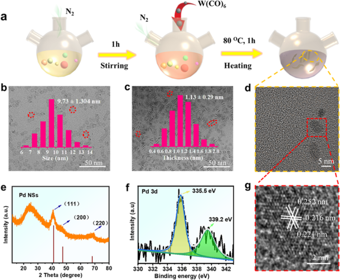 Ultrathin Palladium Nanozymes: Light-Activated Peroxidase Mimicry for Precision Catalysis